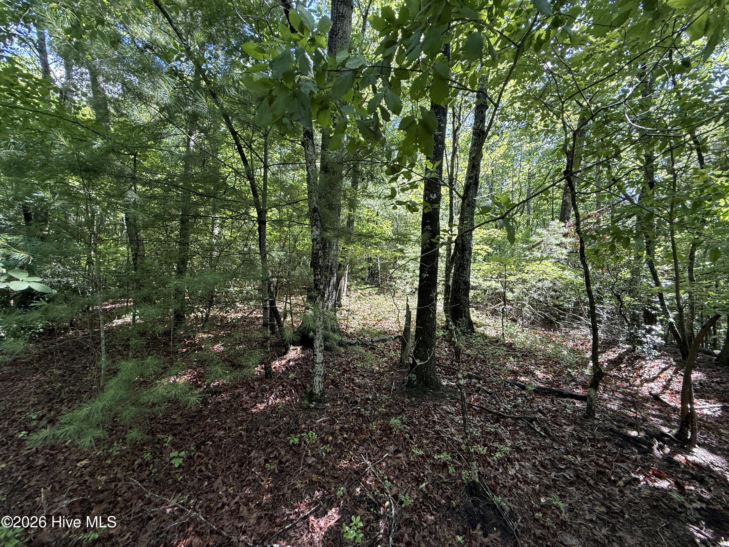 81 Roberts Road Murphy, NC 28906 - Photo 9 of 9