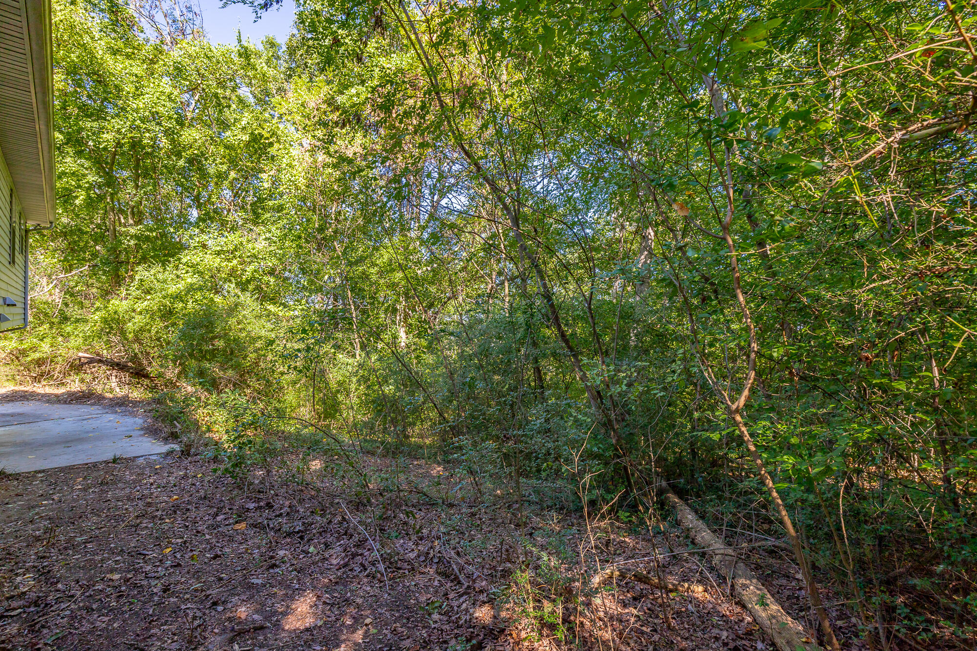 302 Shannon Drive Ringgold, GA 30736 - Photo 28 of 30 302 Shannon Drive HD-39