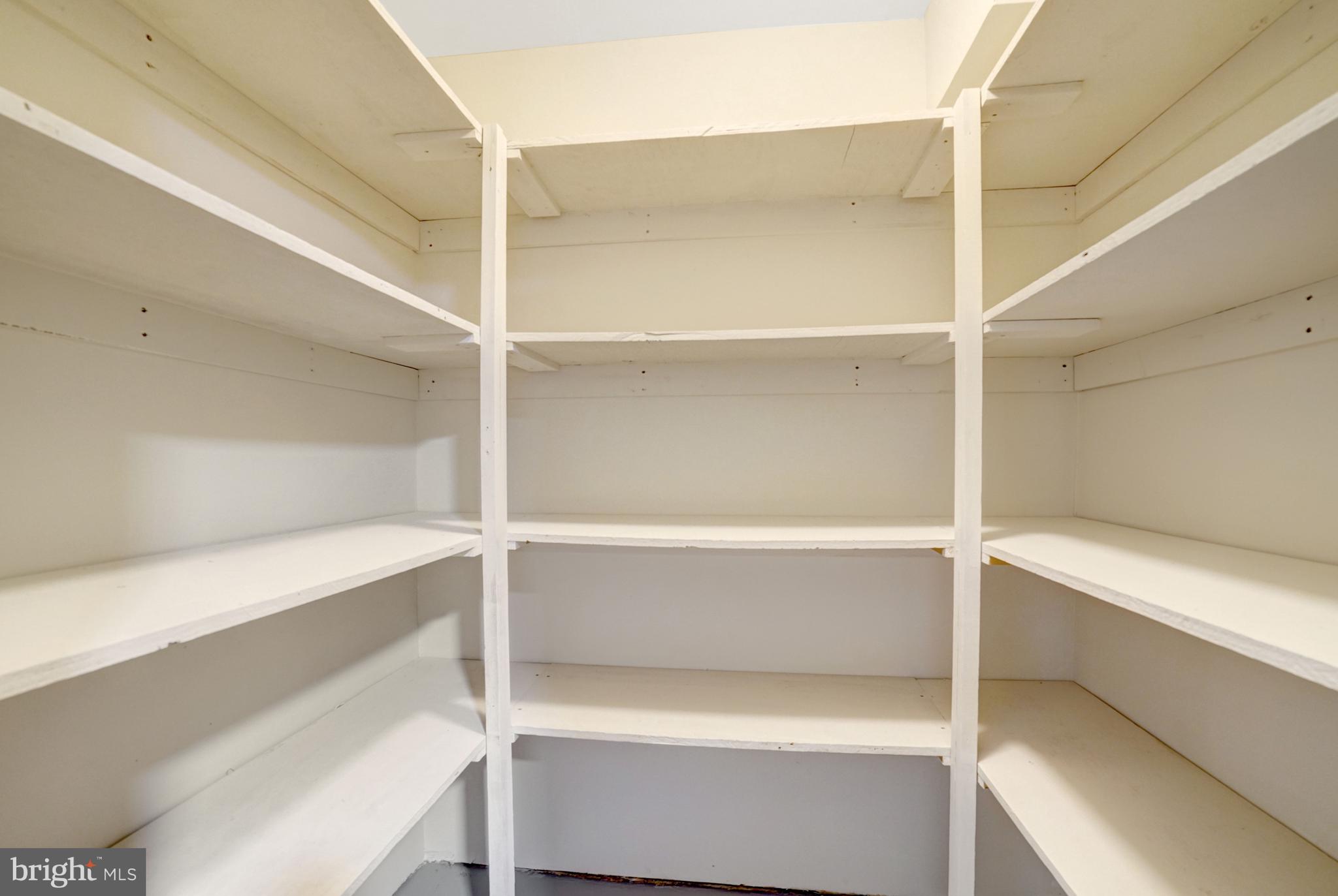 8523 Lakinhurst Lane Springfield, VA 22152 - Photo 48 of 76 Storage closet w/ shelving