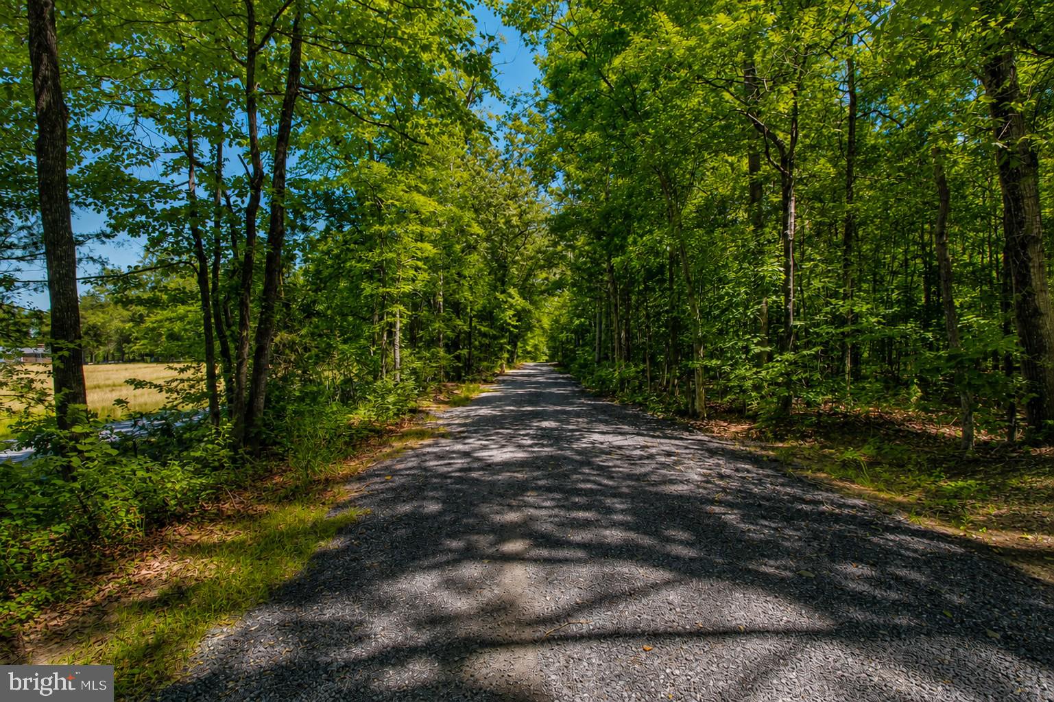 4319 Hadamar Road Spotsylvania, VA 22551 - Photo 6 of 14 When you first pull in the lot.