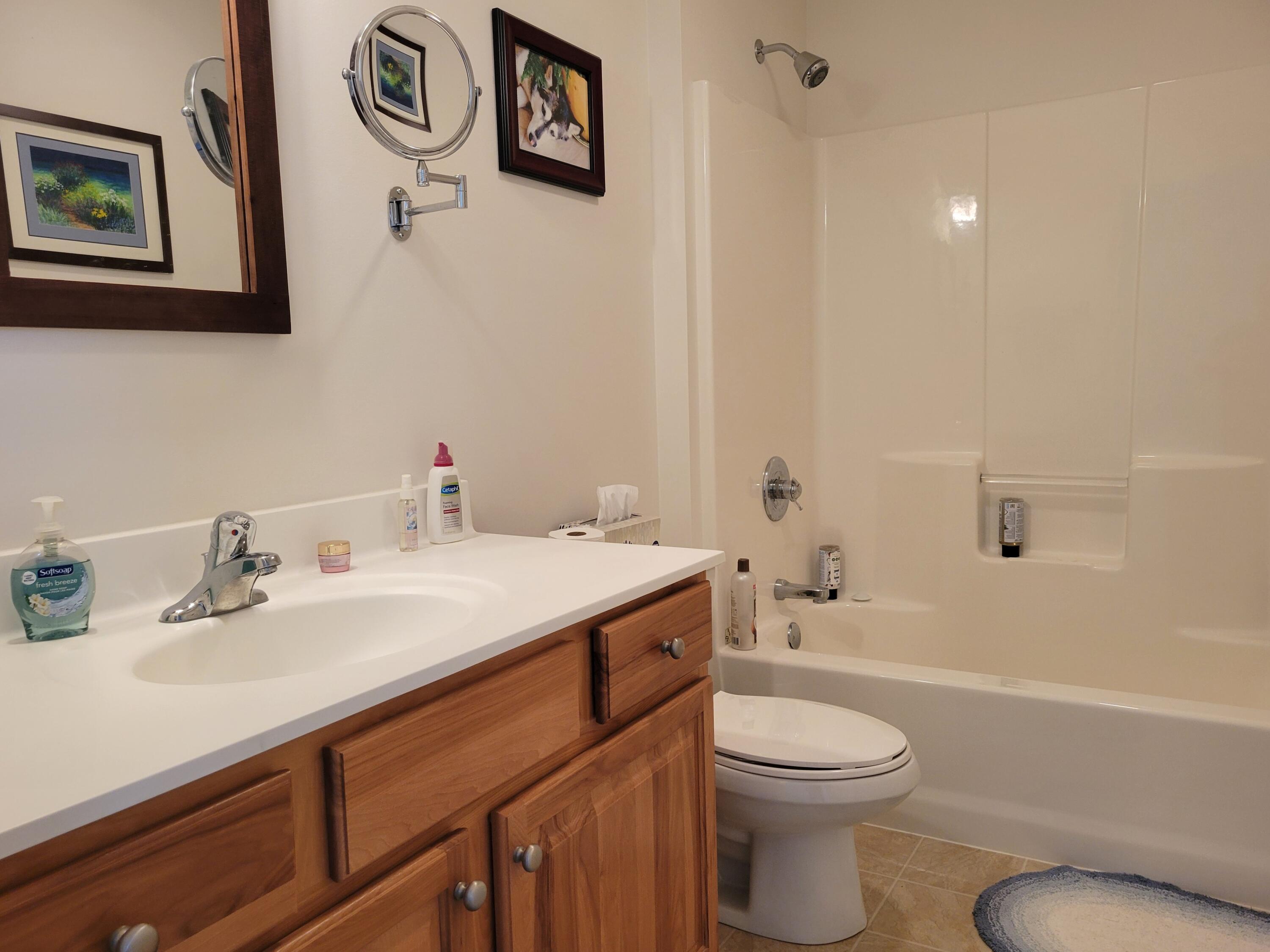 913 Clark Street Lowell, MI 49331 - Photo 12 of 18 2nd bath