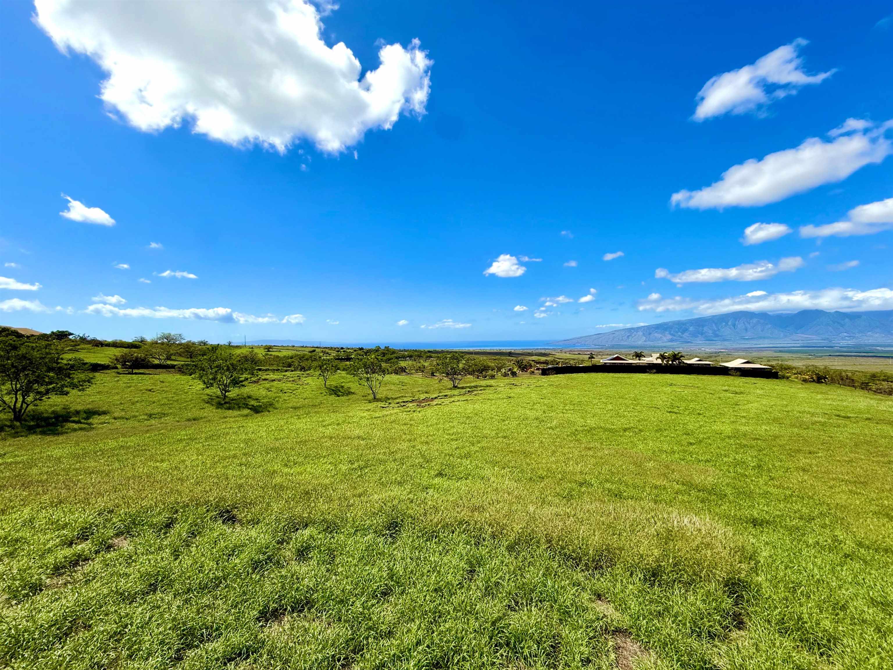 15 Apali Way Kula, HI 96790 - Photo 9 of 10