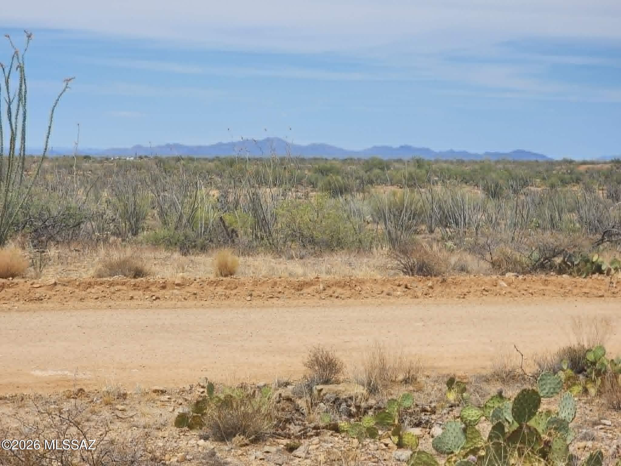 14921 West Pyle Road, Unit 498 Tucson, AZ 85736 - Photo 5 of 15 Diamond Bell Ranch_Land_14921 W Pyle