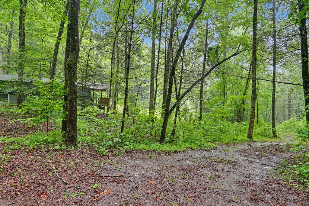 1070 Morgan Creek Road Marble, NC 28905 - Photo 6 of 40
