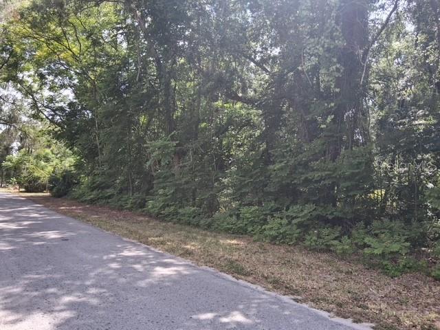 Northwest 2nd Street Webster, FL 33597 - Photo 3 of 4 a view of a forest with trees in the background