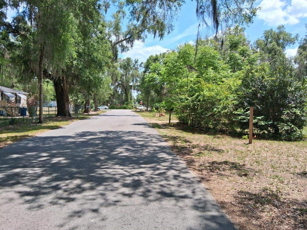 Northwest 2nd Street Webster, FL 33597 - Photo 4 of 4 a view of road and trees