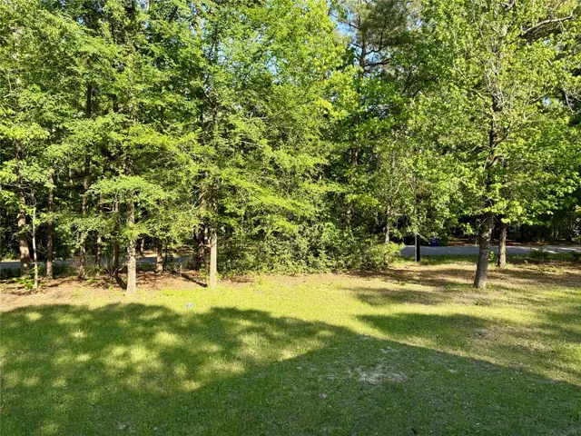 a view of a yard with a tree