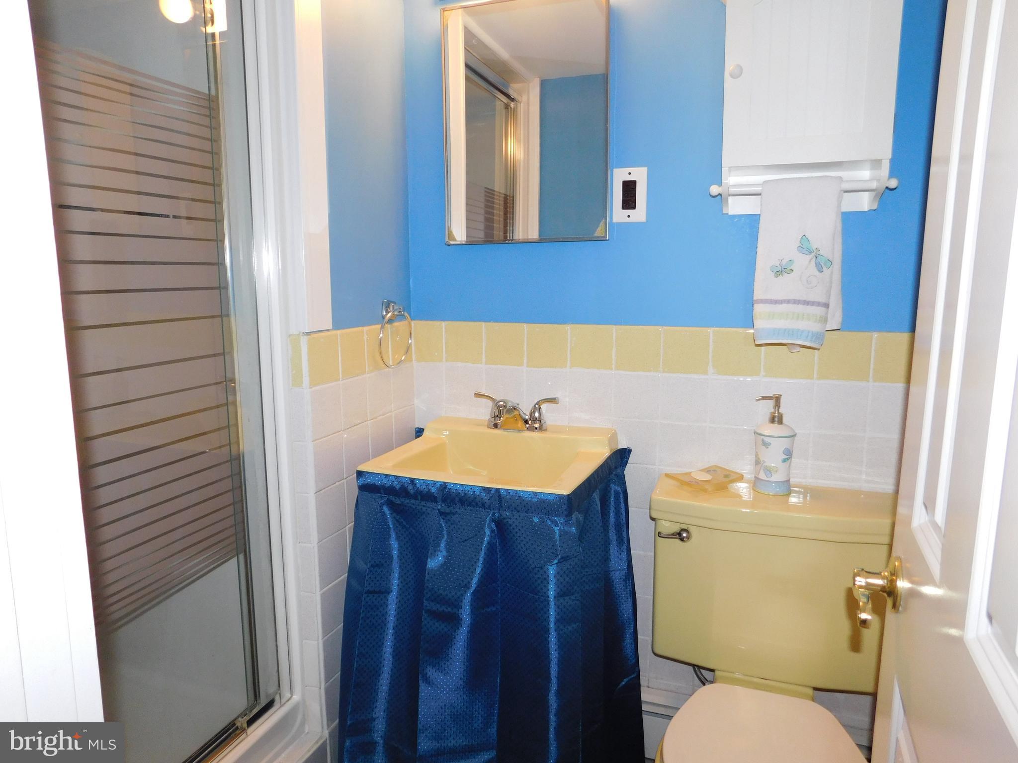35 Stoopville Road Newtown, PA 18940 - Photo 45 of 78 Lower Level Bathroom with stall shower