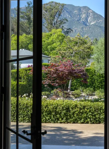 a view of a garden from a window