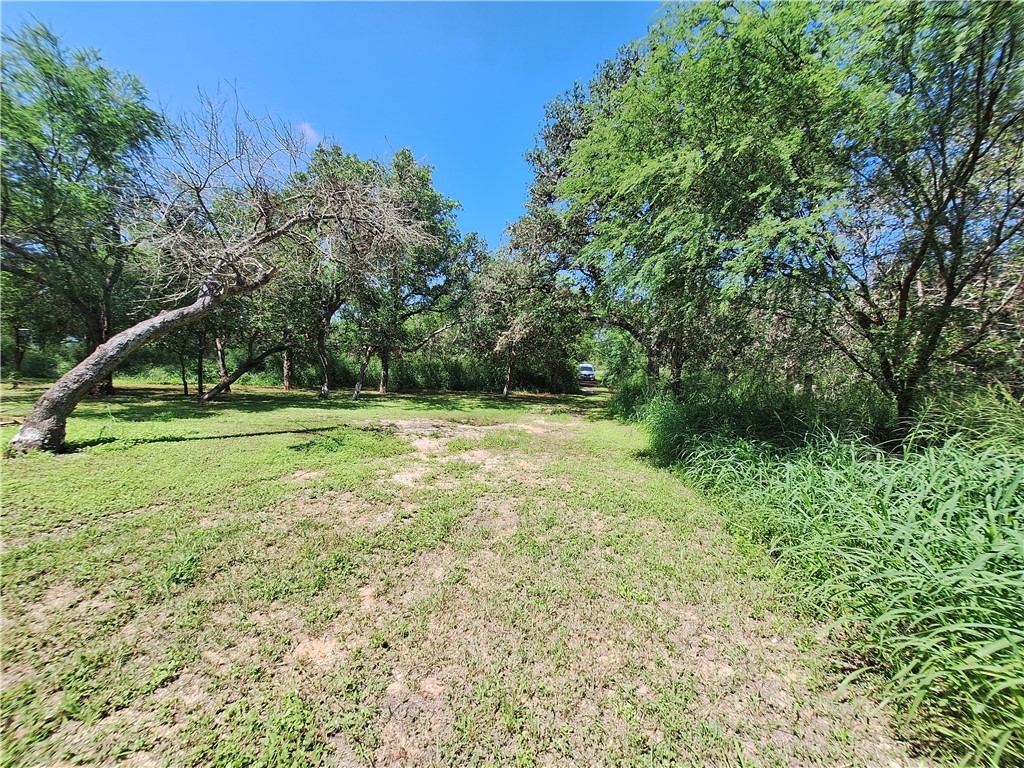 0 County Road Robstown, TX 78380 - Photo 11 of 17