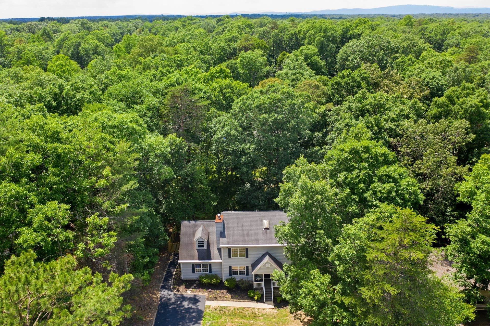 4 Hatchechubee Road Palmyra, VA 22963 - Photo 40 of 42 Gallery Image 40