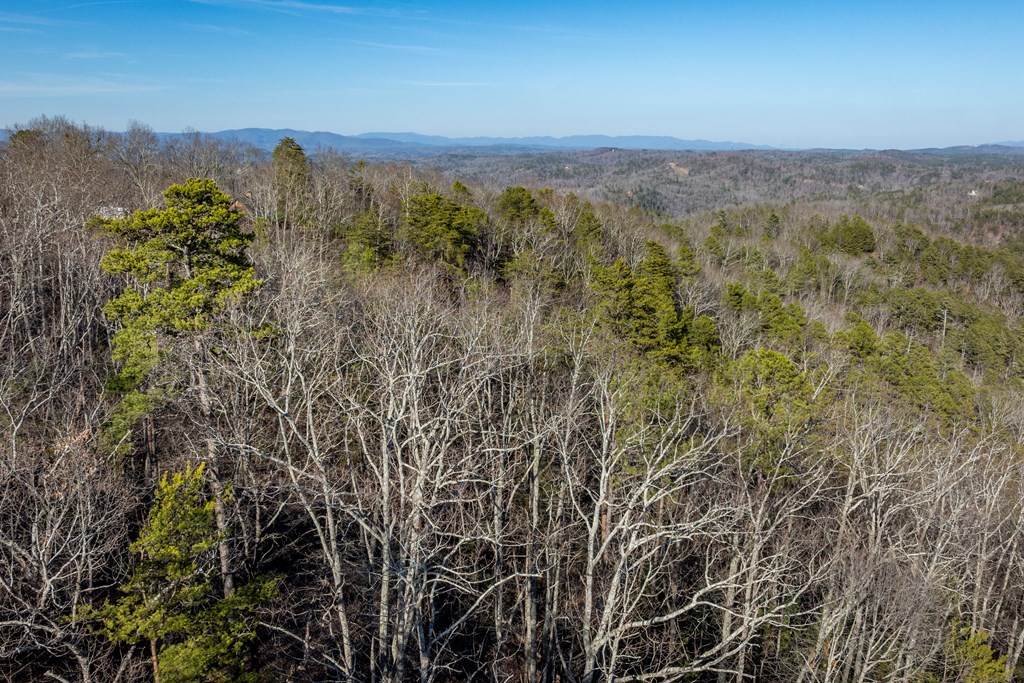 1041 Astro Court Ranger, GA 30734 - Photo 22 of 31