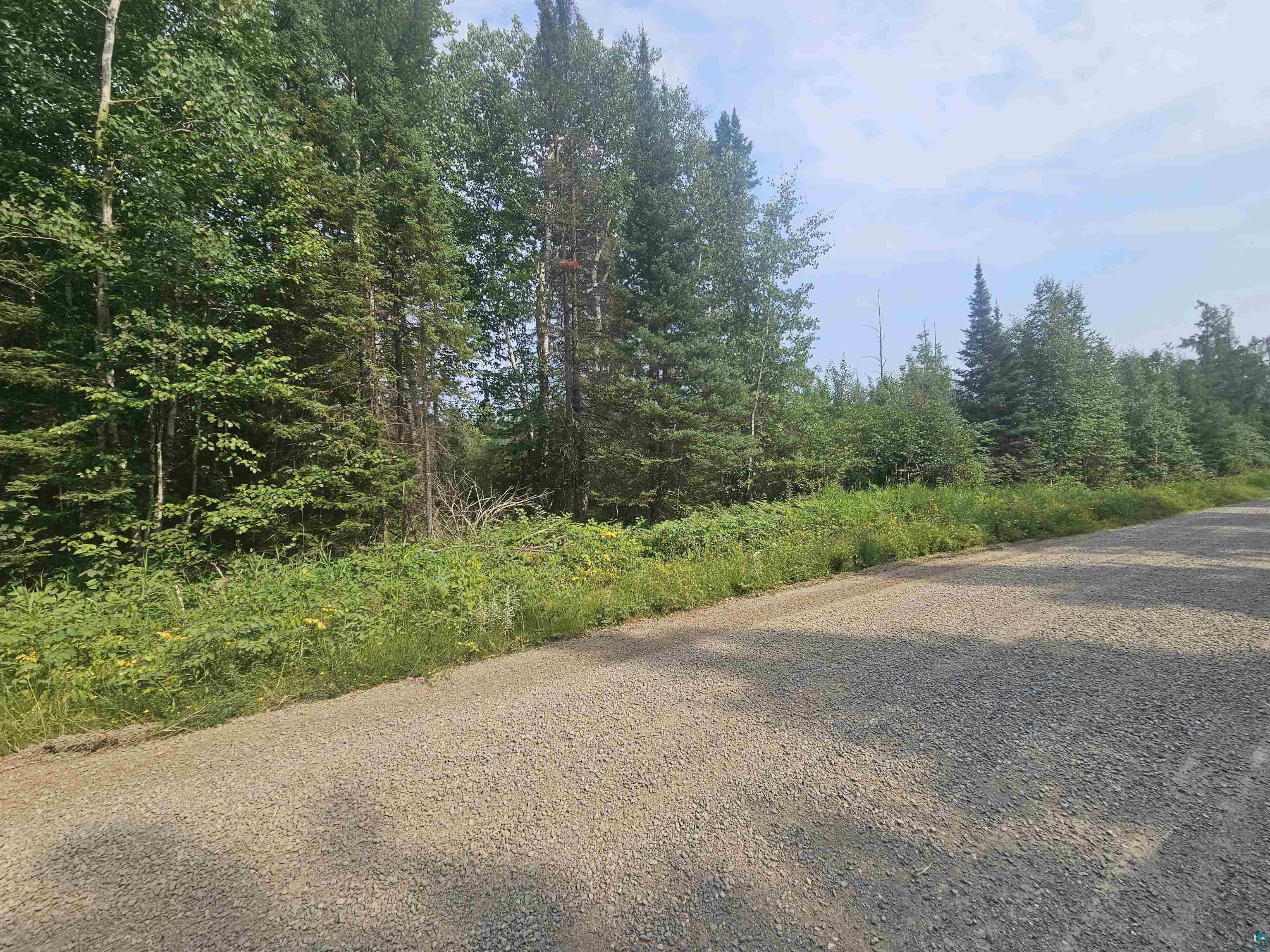 99999 Comet Road Embarrass, MN 55732 - Photo 2 of 5 Gallery Image 2