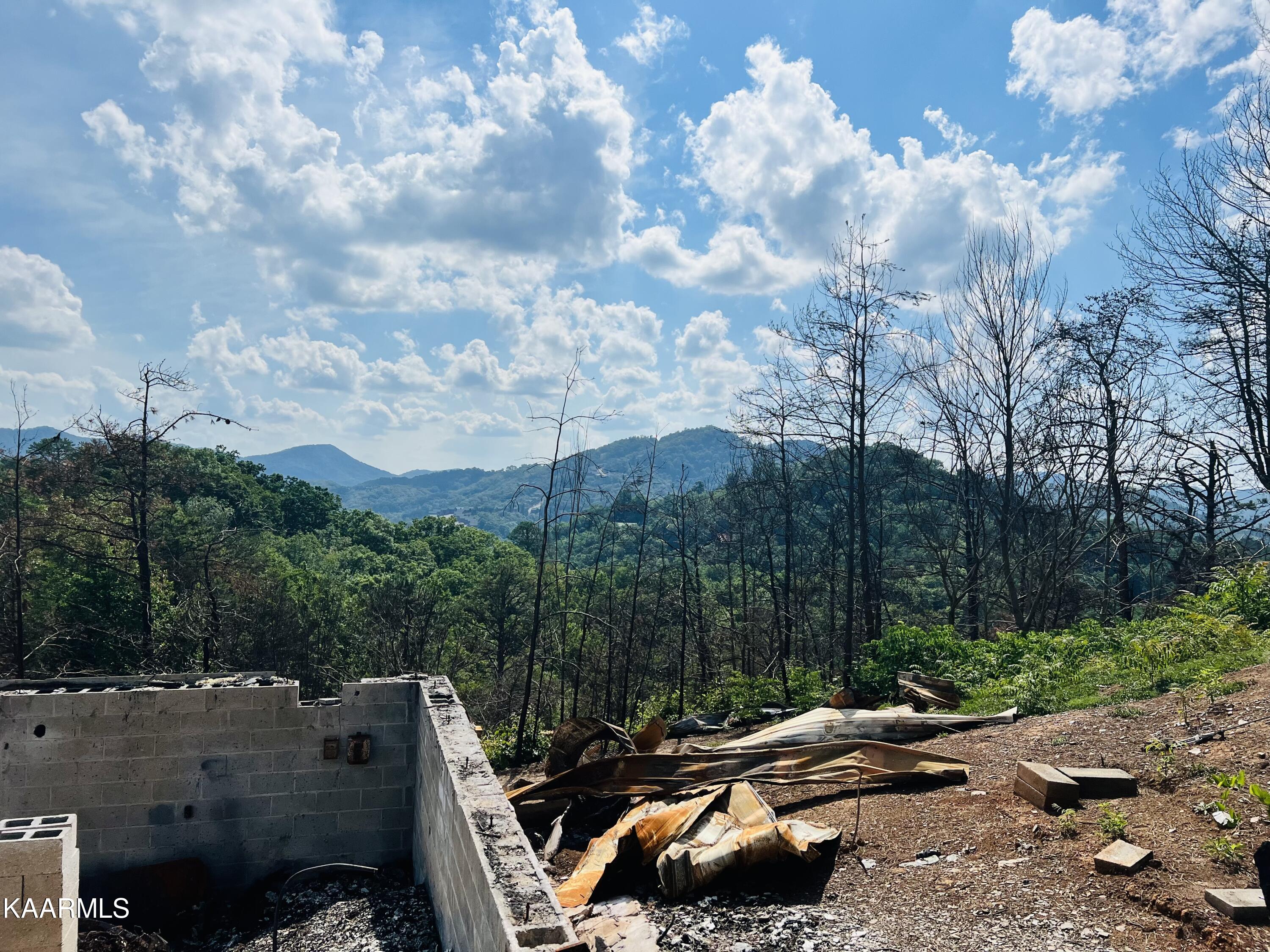 Hatcher Mountain Road Sevierville, TN 37862 - Photo 3 of 4 IMG-0189