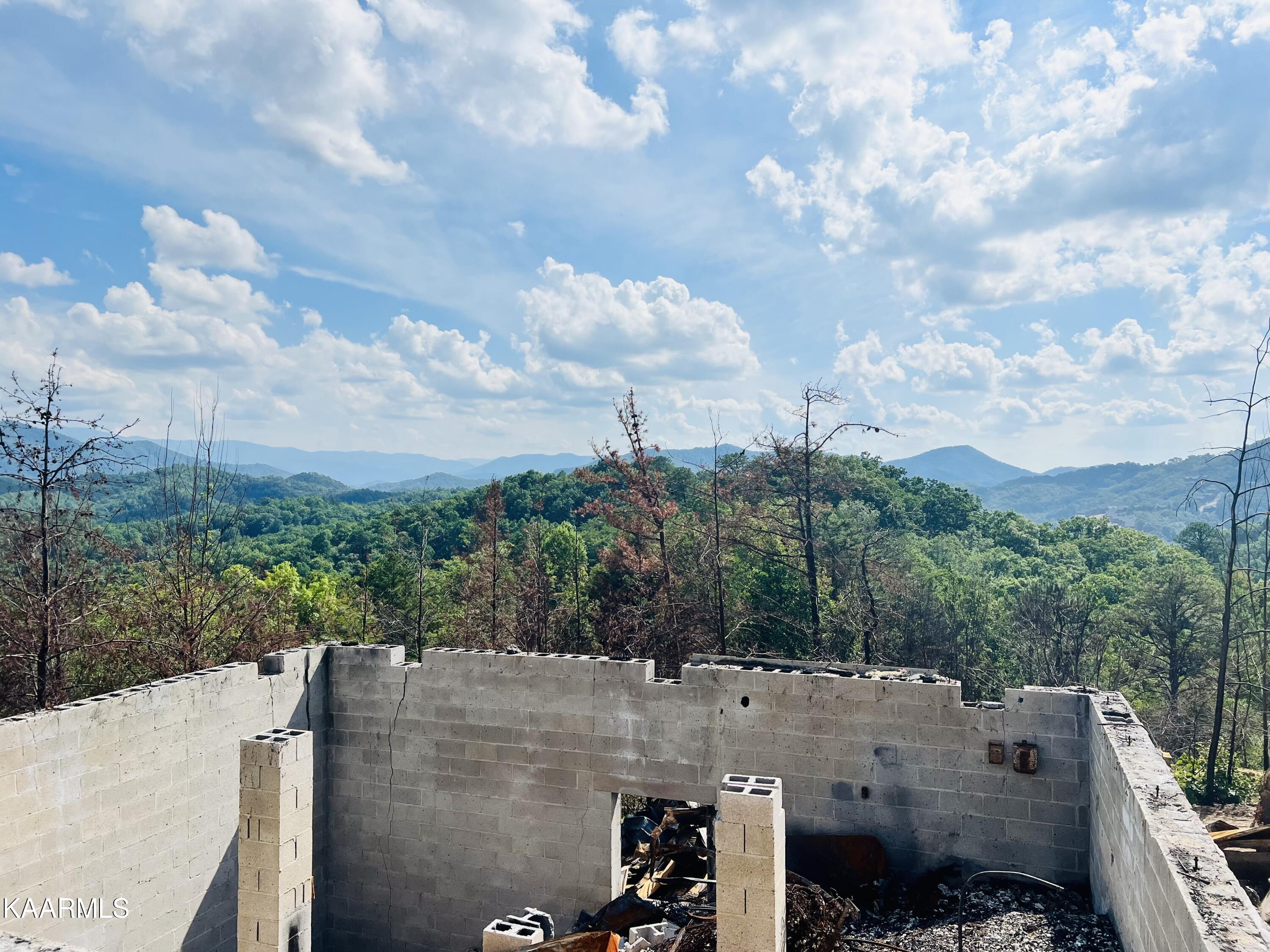 Hatcher Mountain Road Sevierville, TN 37862 - Photo 4 of 4 IMG-0188