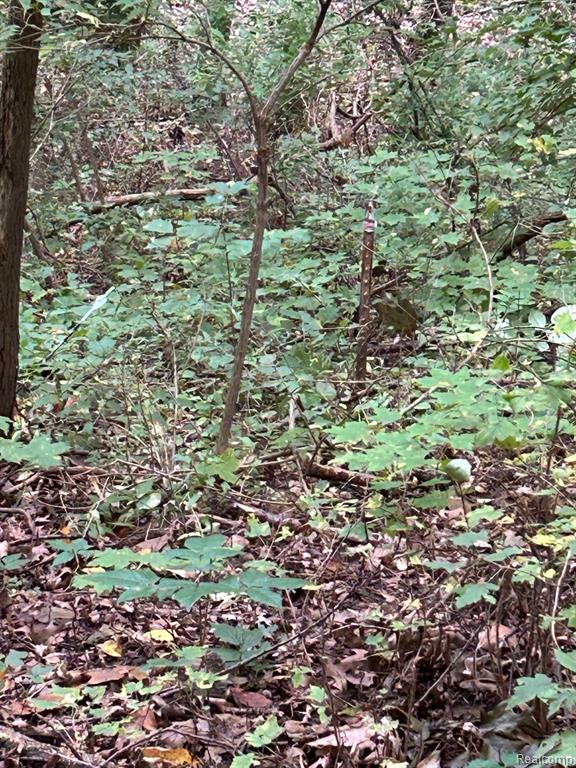 0 Richardson Road Howell, MI 48843 - Photo 4 of 5