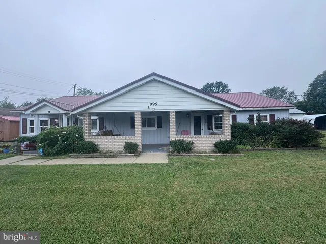 a backyard of a house with plants and large tree