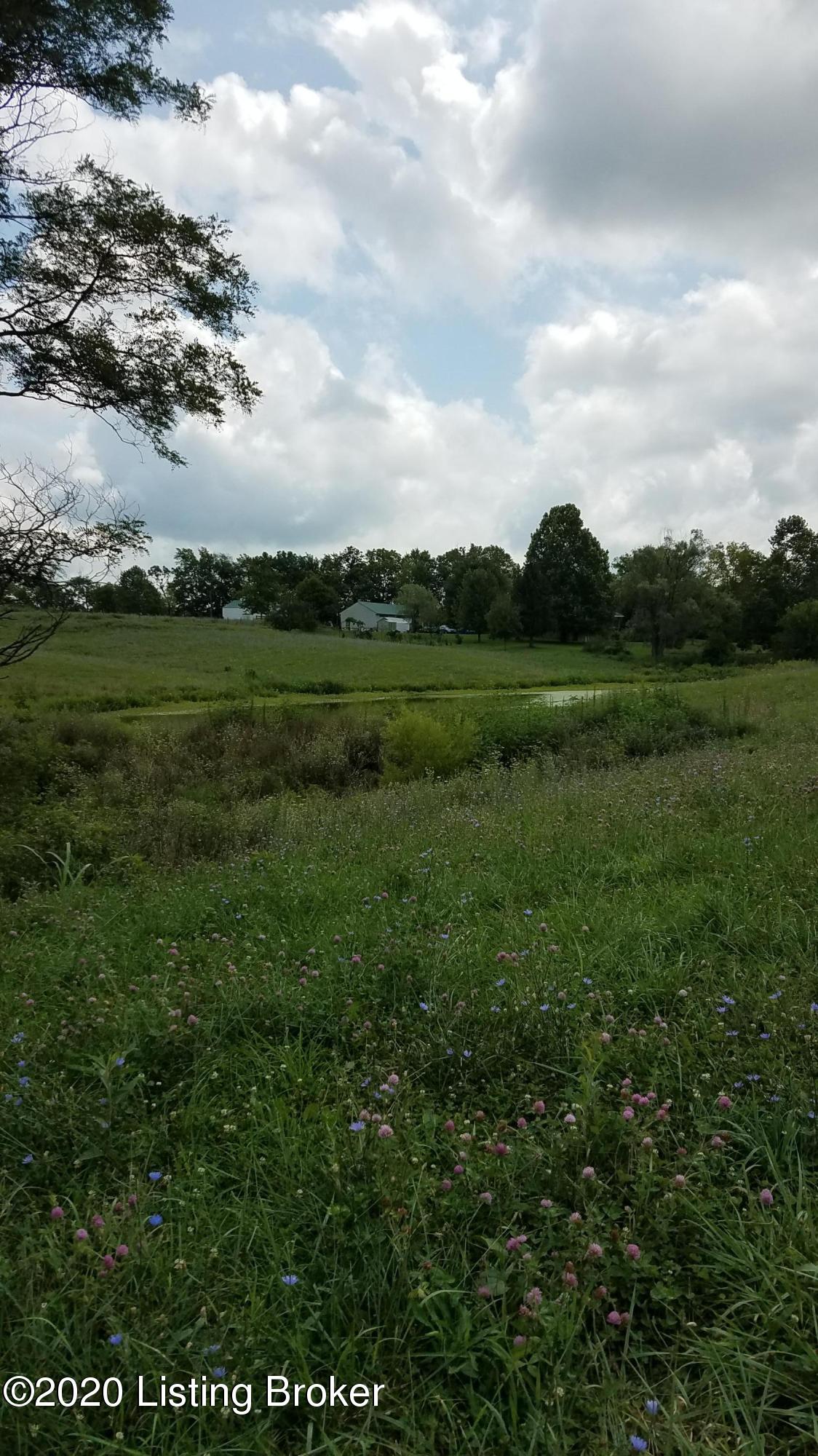 2900 Jackson Road Eminence, KY 40019 - Photo 88 of 93 20200804_133616
