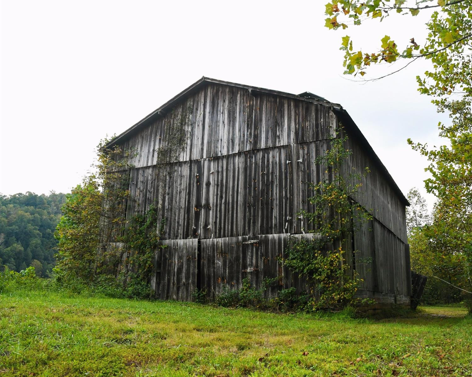 5080 Highland Road Jackson, KY 41339 - Photo 23 of 24 Photo 23