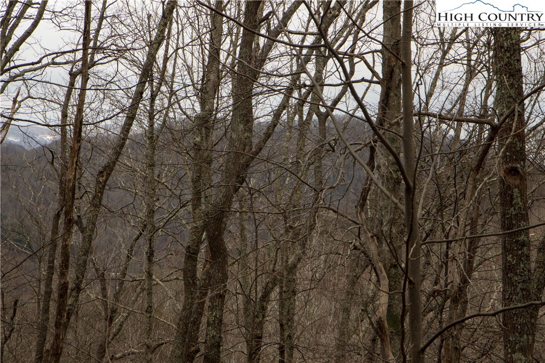 Bear Den Road Boone, NC 28607 - Photo 1 of 11 Gallery Image 1