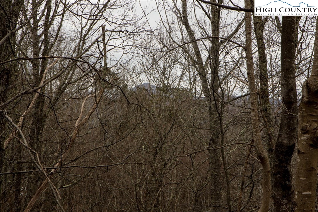 Bear Den Road Boone, NC 28607 - Photo 2 of 11 Gallery Image 2