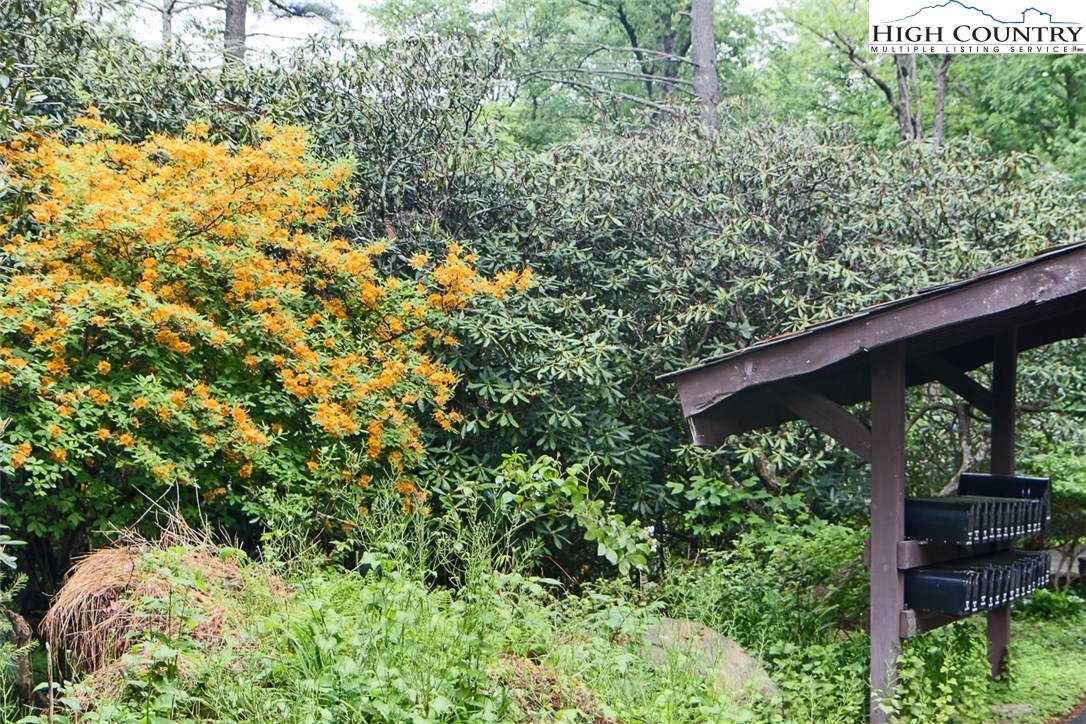 Bear Den Road Boone, NC 28607 - Photo 4 of 11 Gallery Image 4