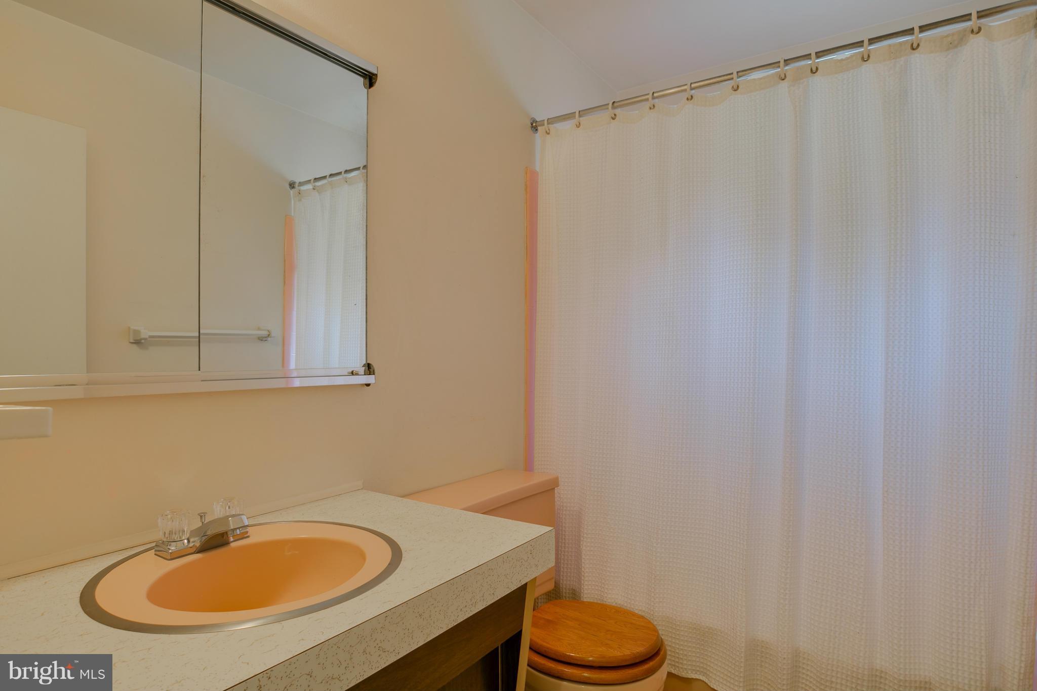 6008 Chesworth Road Baltimore, MD 21228 - Photo 19 of 25 Bath