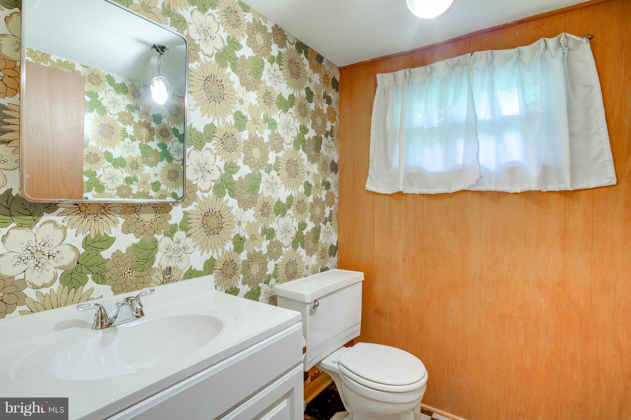 6008 Chesworth Road Baltimore, MD 21228 - Photo 21 of 25 Bath