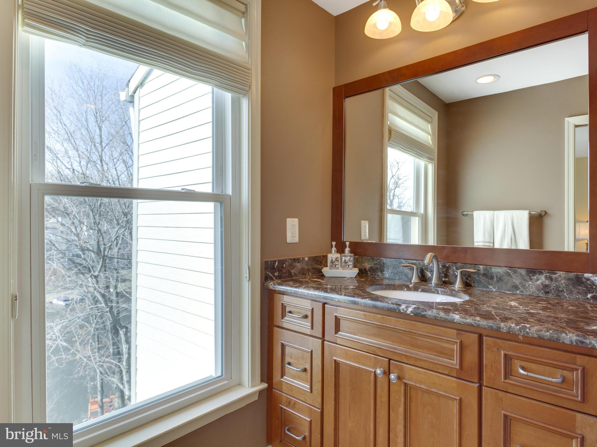 2072 Lake Audubon Court Reston, VA 20191 - Photo 16 of 30 a bathroom with a granite countertop sink and a large mirror