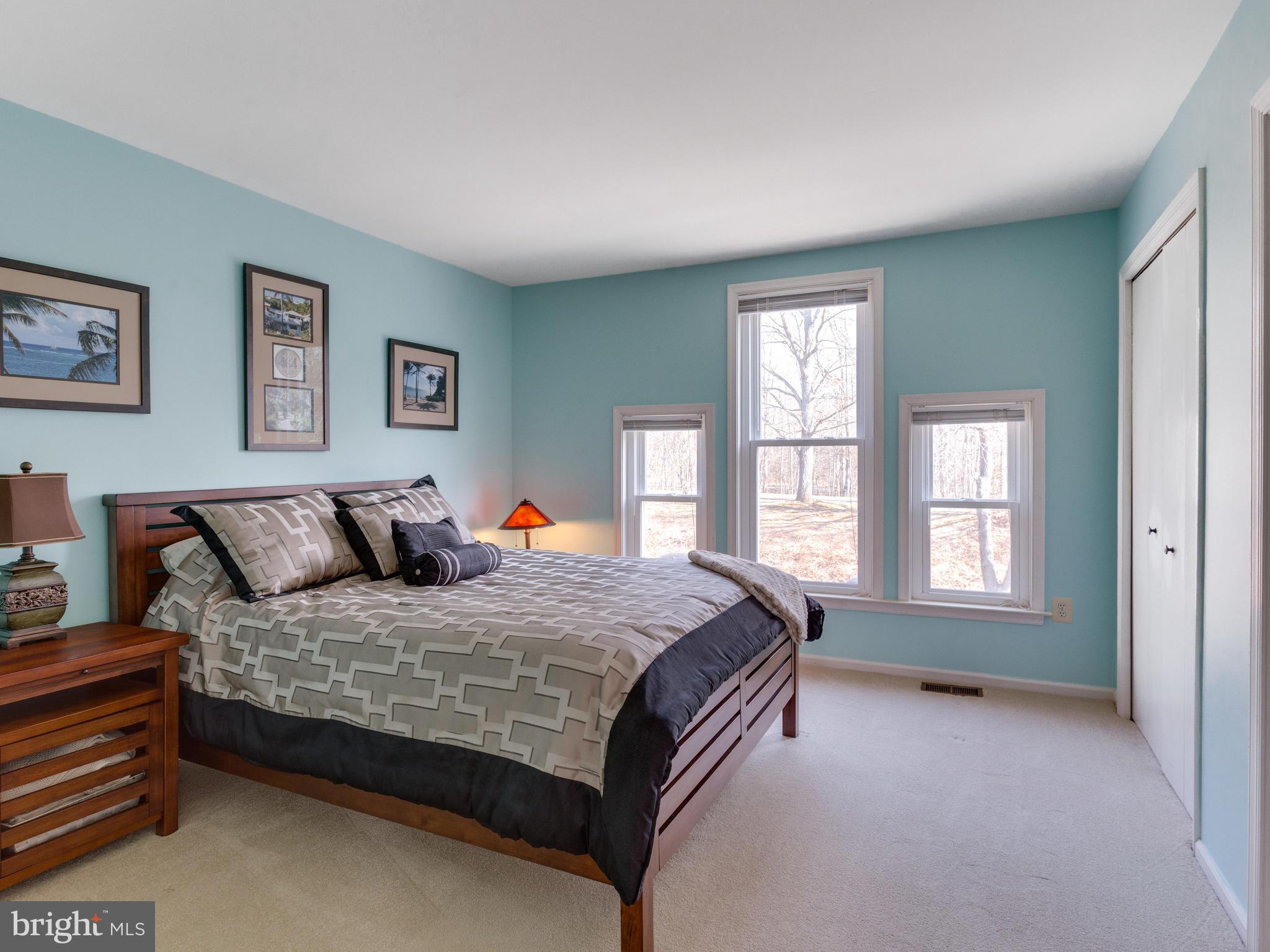 2072 Lake Audubon Court Reston, VA 20191 - Photo 18 of 30 a bedroom with a bed lamp and a window