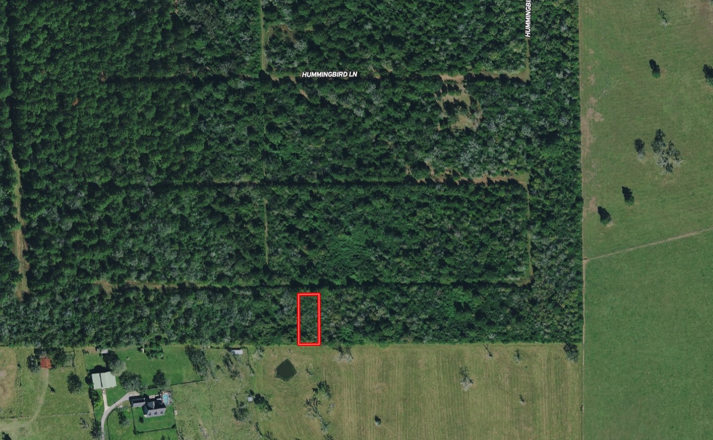 Lot 16 Mocking Bird Hempstead, TX 77445 - Photo 3 of 13