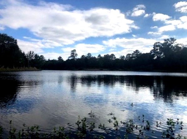 Lot 16 Mocking Bird Hempstead, TX 77445 - Photo 5 of 13 Neighborhood Lake