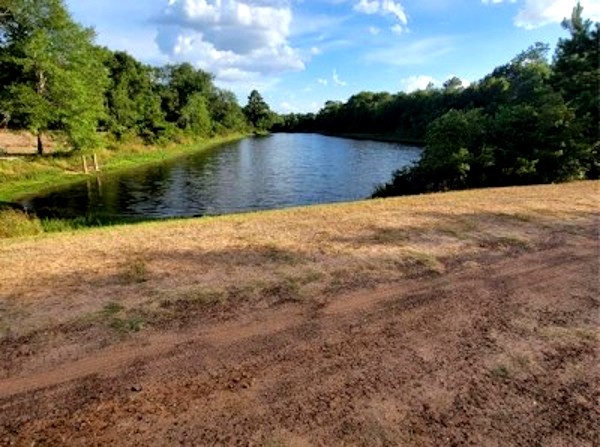 Lot 16 Mocking Bird Hempstead, TX 77445 - Photo 7 of 13 Neighborhood Lake