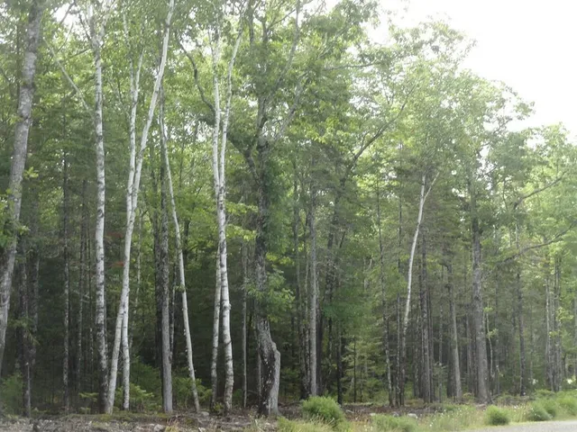 $229,000 | 6 Bluff Road, Bar Harbor, ME 04609