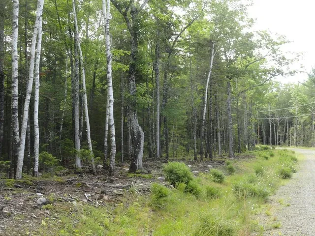 $229,000 | 6 Bluff Road, Bar Harbor, ME 04609