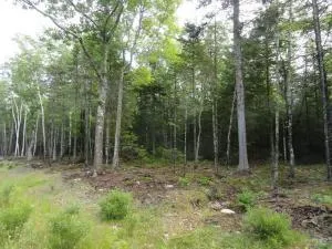 $229,000 | 6 Bluff Road, Bar Harbor, ME 04609