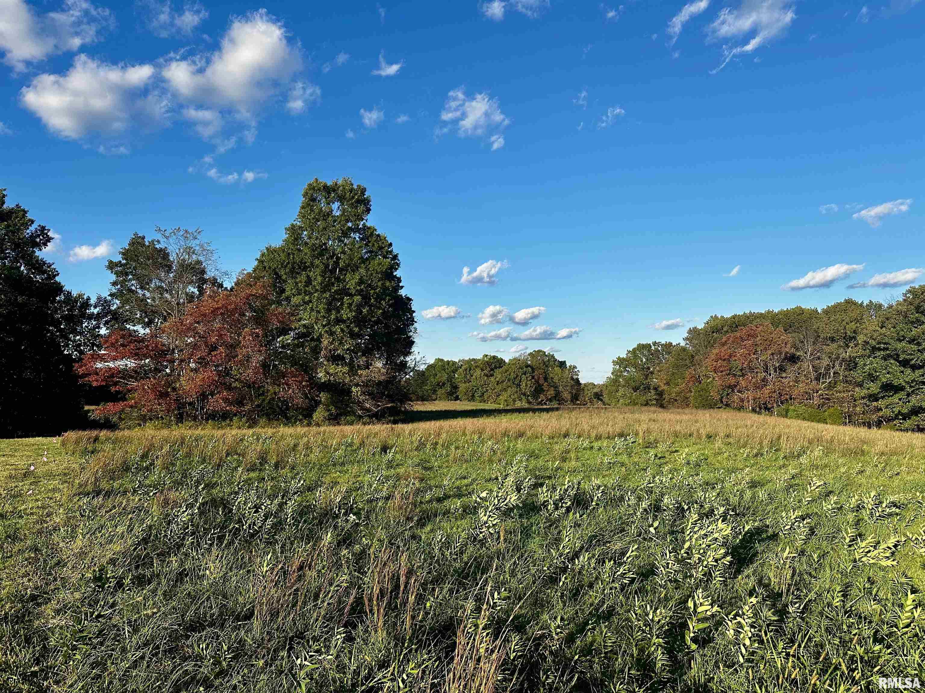 0 Galatia Road Galatia, IL 62935 - Photo 4 of 7