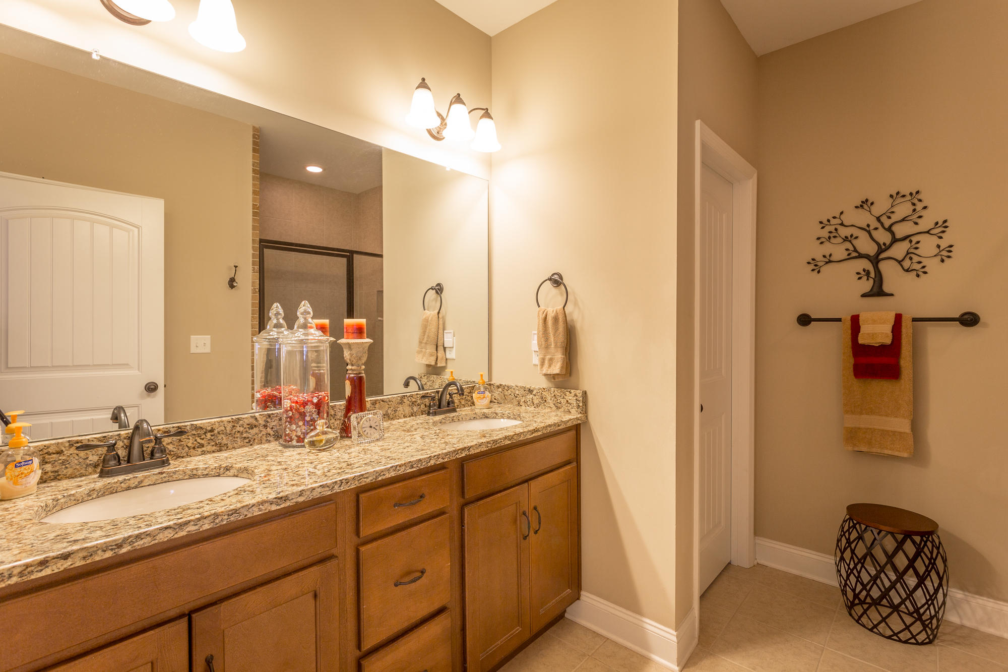 8645 Blanche Road Ooltewah, TN 37363 - Photo 26 of 46 Master bathroom