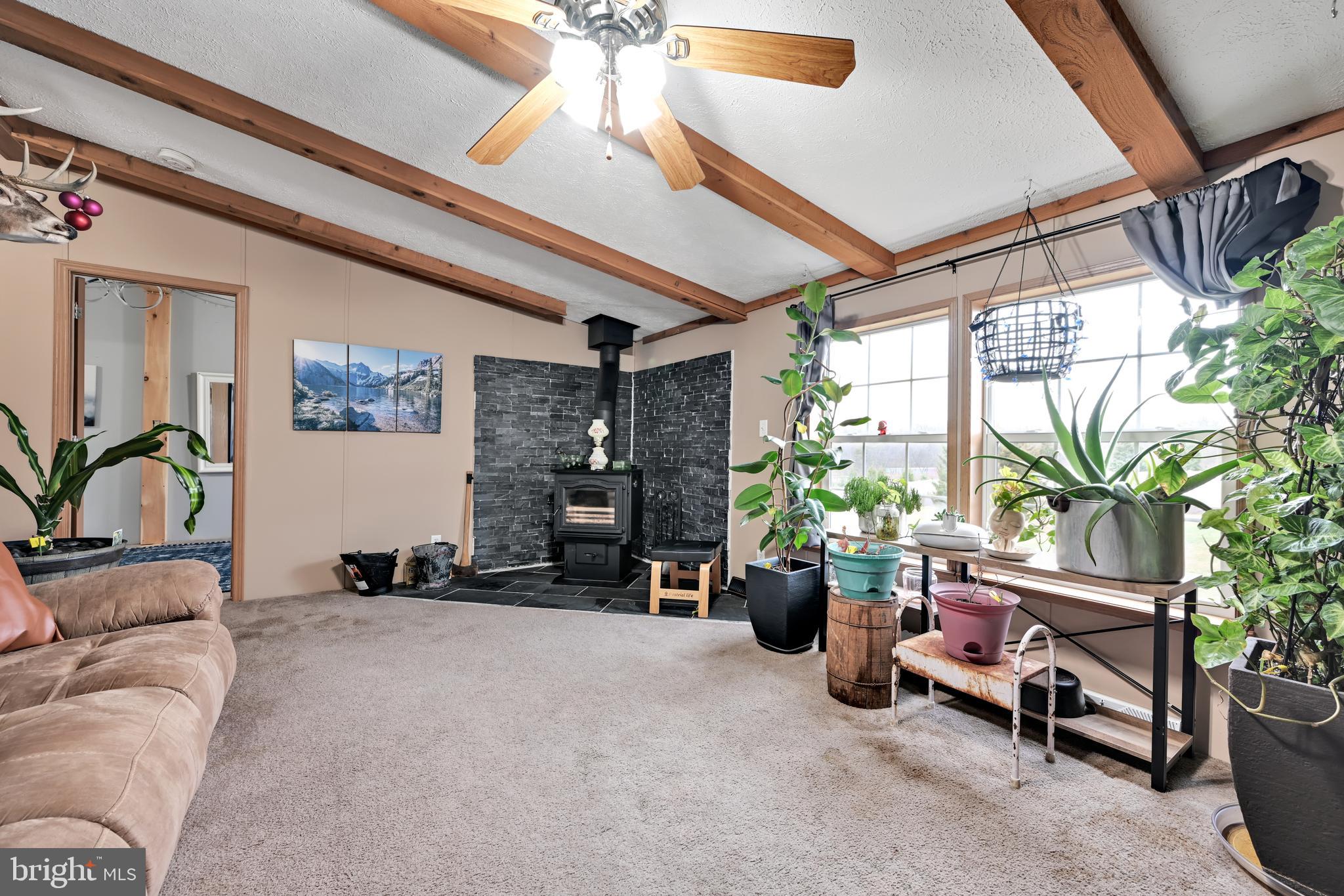 60 Bordnersville Road Jonestown, PA 17038 - Photo 23 of 45 a living room with furniture and a potted plant