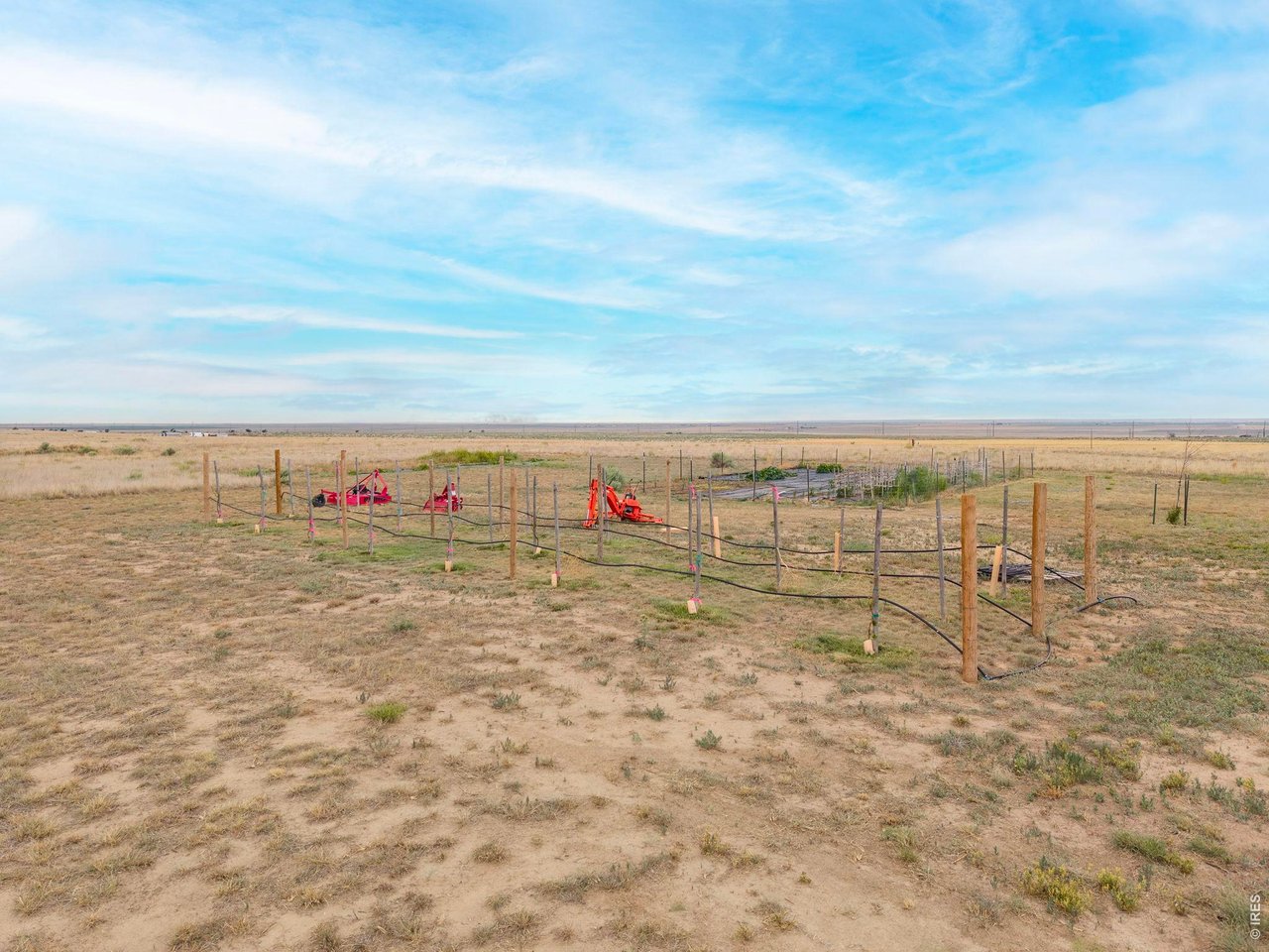 13550 Deter-Winters Road Byers, CO 80103 - Photo 46 of 50 This is the vineyard watered by the drip system