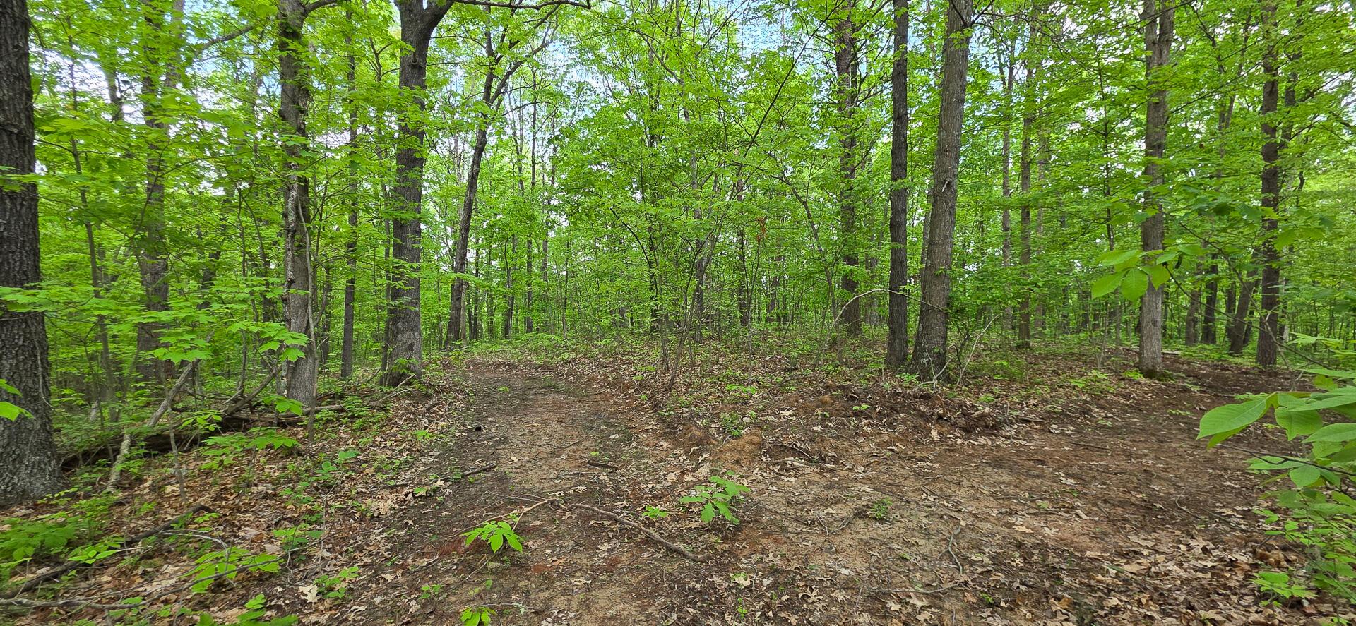 0 Edmundson Road, Unit RIDGE VIEW CABIN BIG TIMBER) Vinton, OH 45686 - Photo 7 of 67 CT-7