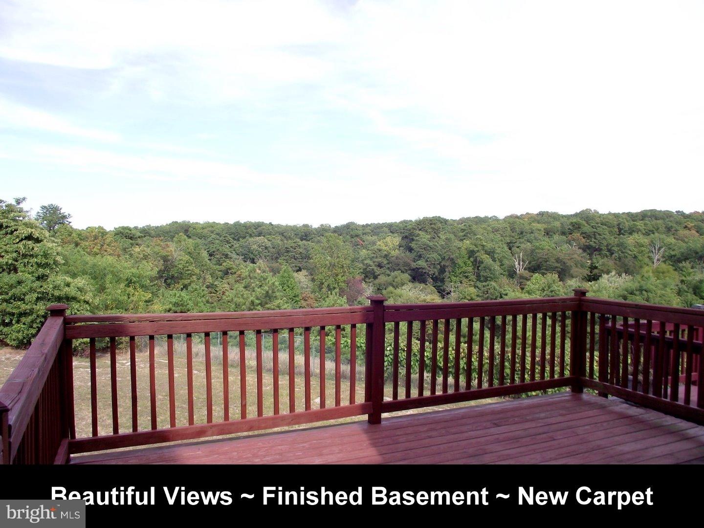 61 Millstream Road Pine Hill, NJ 08021 - Photo 1 of 19 View in Back