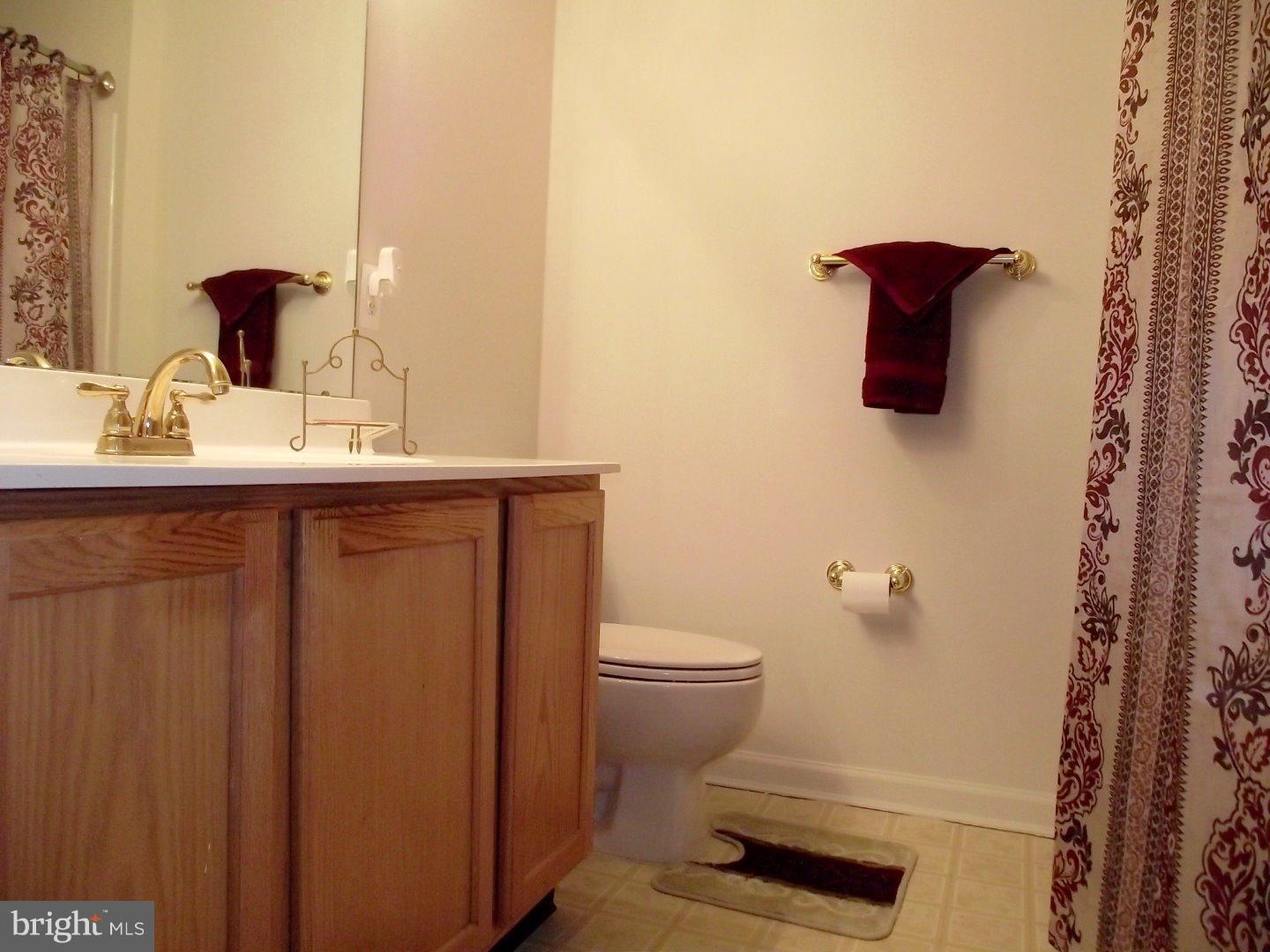 61 Millstream Road Pine Hill, NJ 08021 - Photo 15 of 19 Bathroom