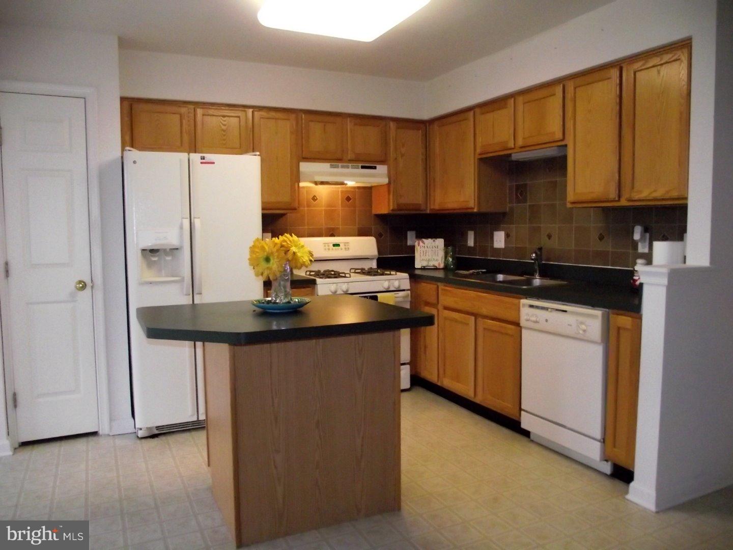 61 Millstream Road Pine Hill, NJ 08021 - Photo 8 of 19 Kitchen