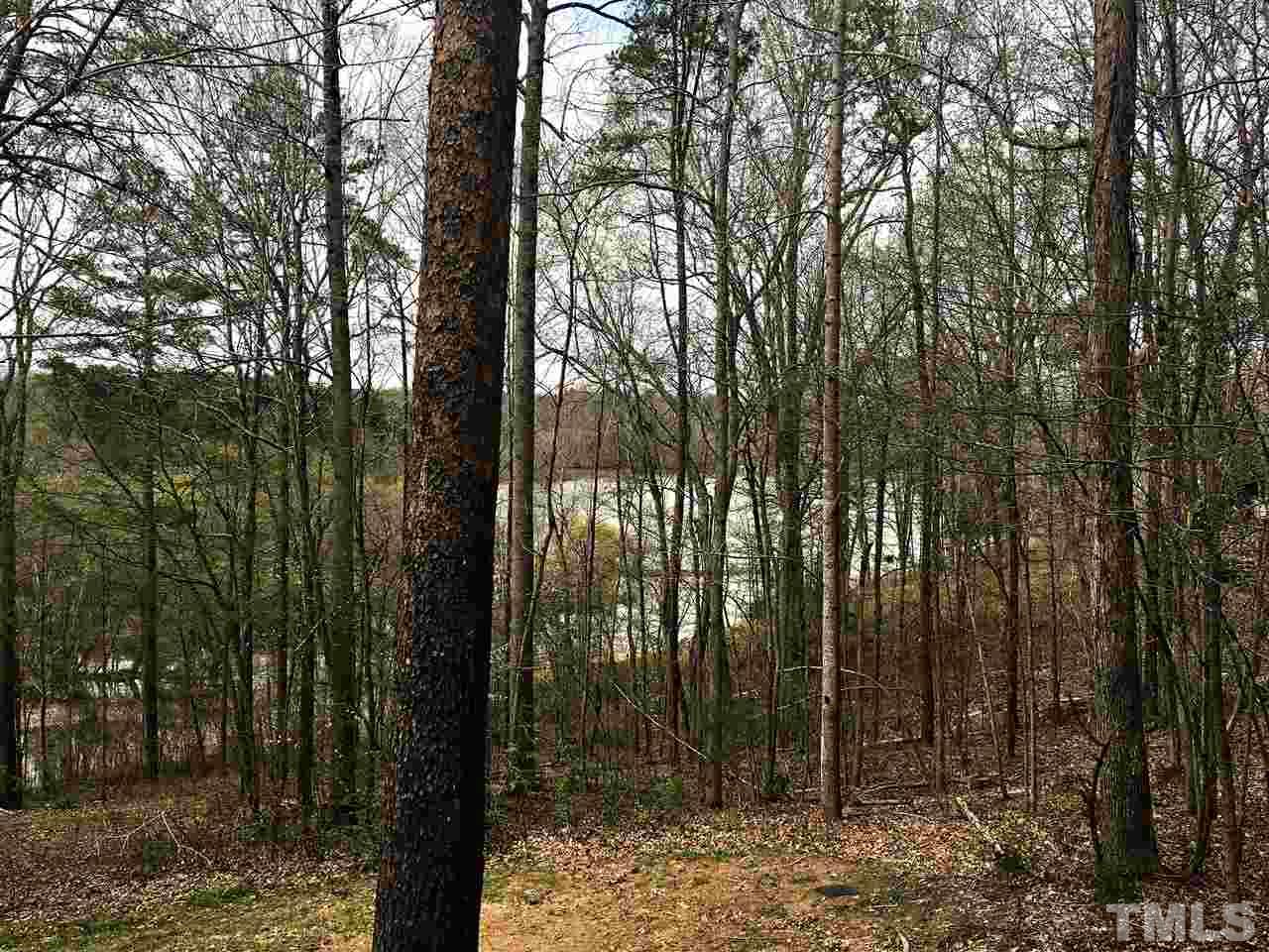 375 Ole Cabin Road Roxboro, NC 27574 - Photo 11 of 11 a view of outdoor space and yard