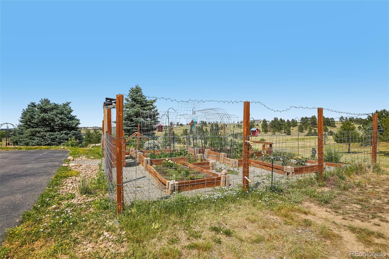 11646 Dunrich Road Parker, CO 80138 - Photo 44 of 50