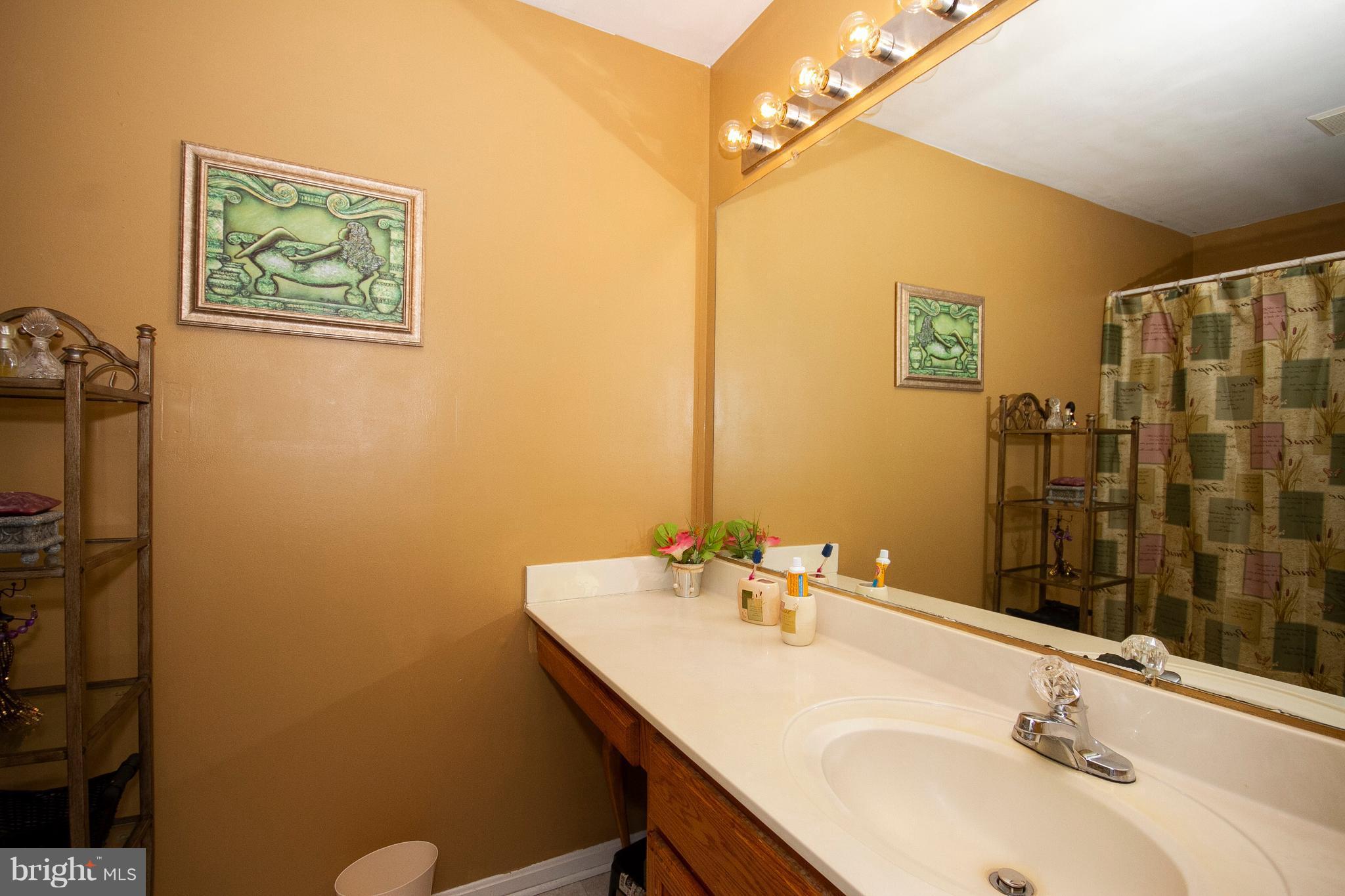4212 Spring Avenue Halethorpe, MD 21227 - Photo 24 of 30 Bath (Master)