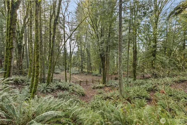 a view of outdoor space and green space