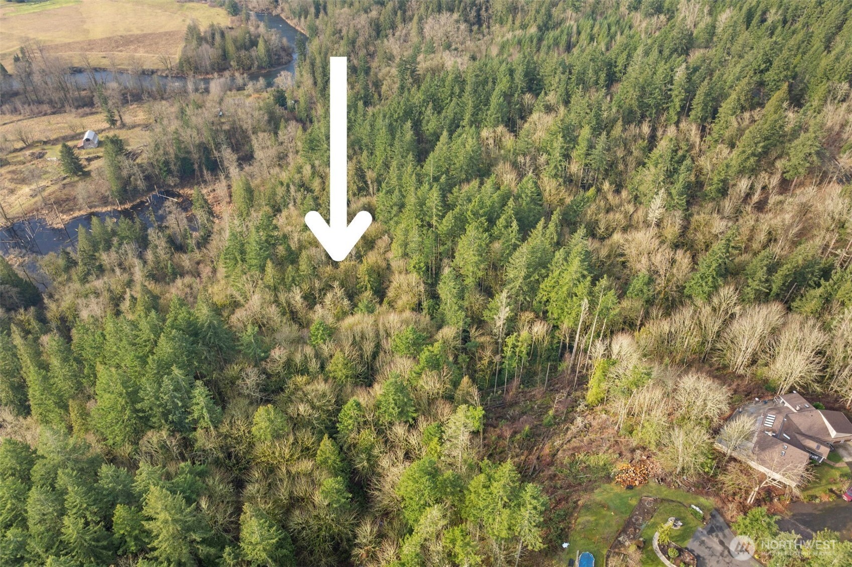 23827 Southeast Green Valley Road Auburn, WA 98092 - Photo 4 of 12