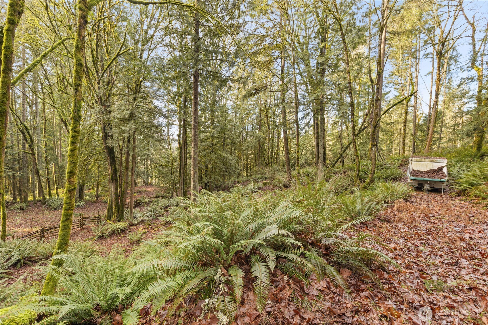 23827 Southeast Green Valley Road Auburn, WA 98092 - Photo 5 of 12 a fire hydrant in the middle of a field